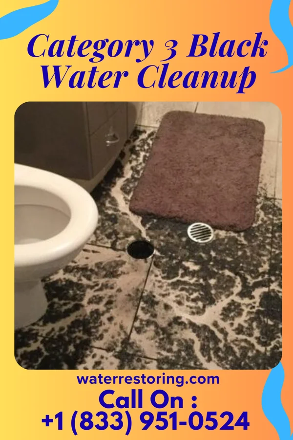 Category 3 Black Water Cleanup in Hubbardston, MI
