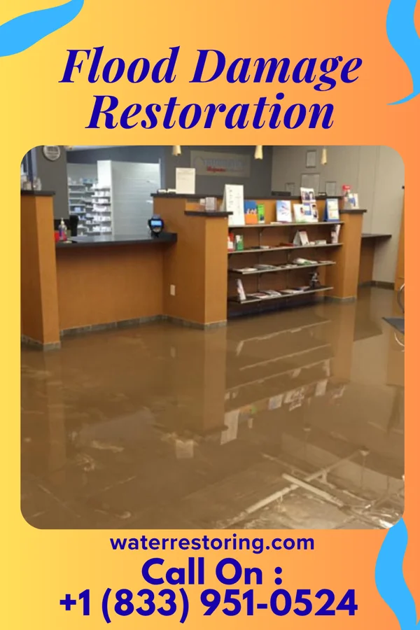 Flood Damage Restoration in Hubbardston, MI