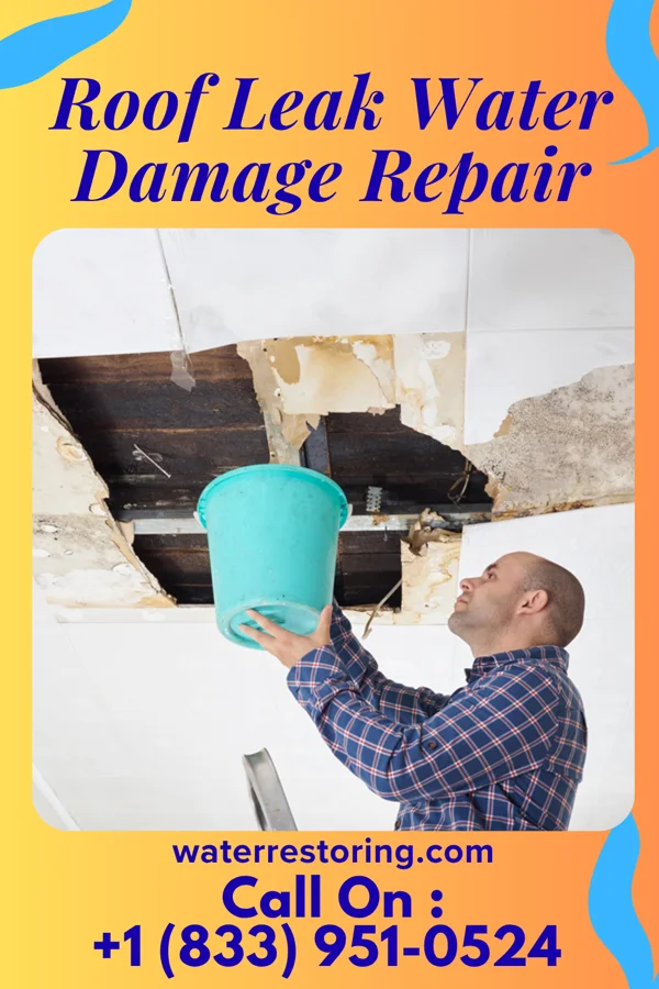 Roof Leak Water Damage Repair in Hubbardston, MI