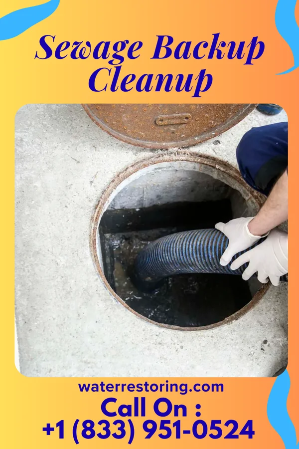 Sewage Backup Cleanup in Hubbardston, MI